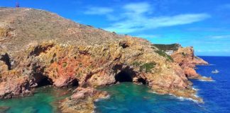 Peniche realiza debate sobre o futuro das Berlengas