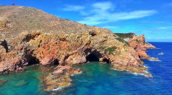 Peniche realiza debate sobre o futuro das Berlengas