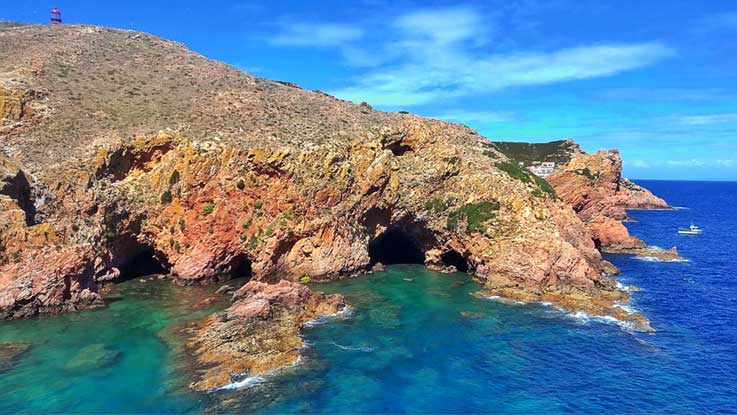 Peniche realiza debate sobre o futuro  das Berlengas