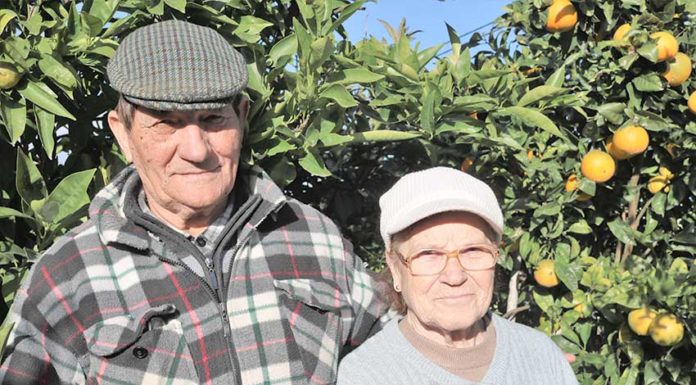 António Henriques casou no dia a seguir ao Natal e partiu para França