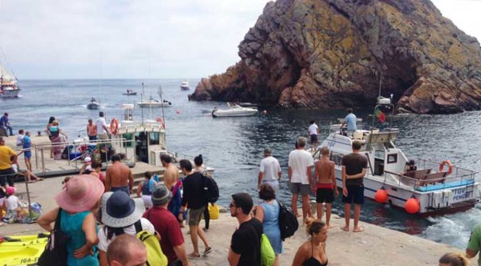 Visitas às Berlengas limitadas a 550 pessoas