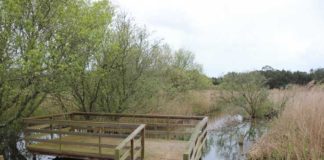 Reserva do Paul de Tornada celebra uma década