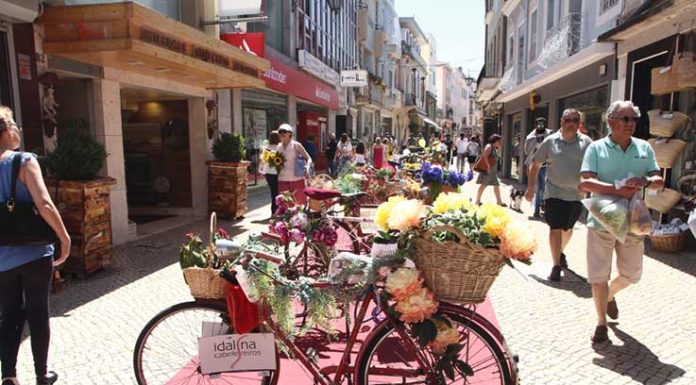 Bicicletas floridas embelezaram a cidade