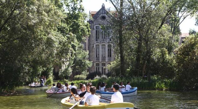 Agrupamento Raul Proença juntou 750 alunos numa eco caminhada