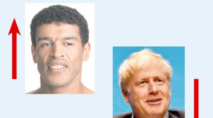 A semana do Zé Povinho