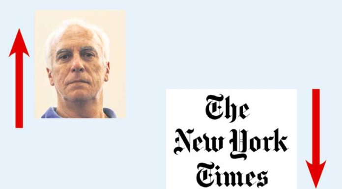 A semana do Zé Povinho