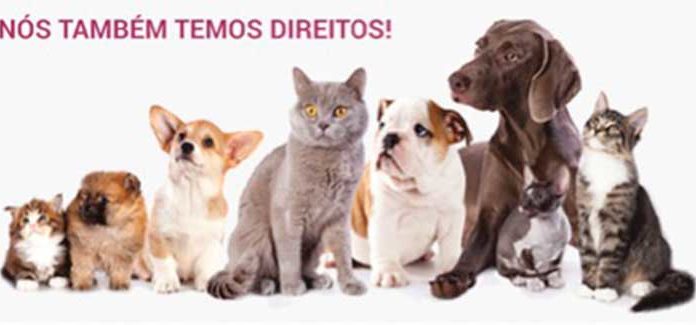 Nós também temos direitos!