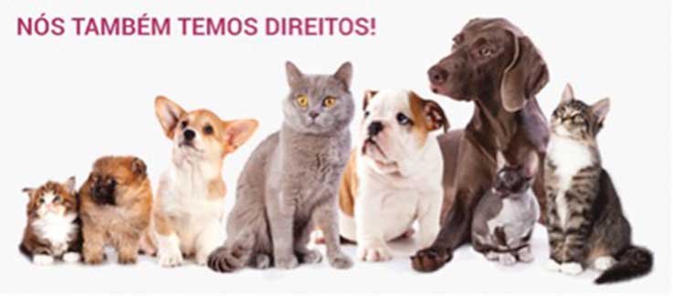 Nós também temos direitos!