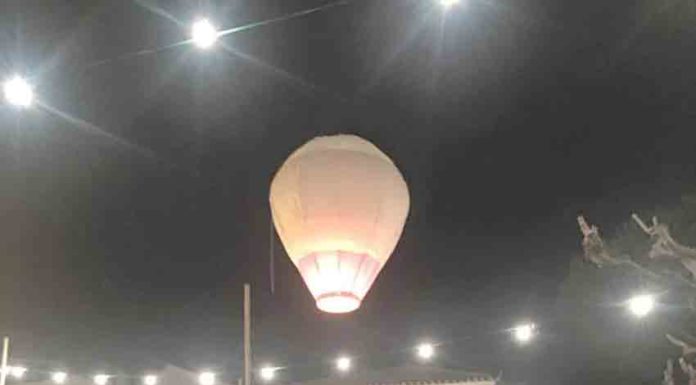 Juízes da festa garantem tradição secular do Santo Amaro em Alfeizerão