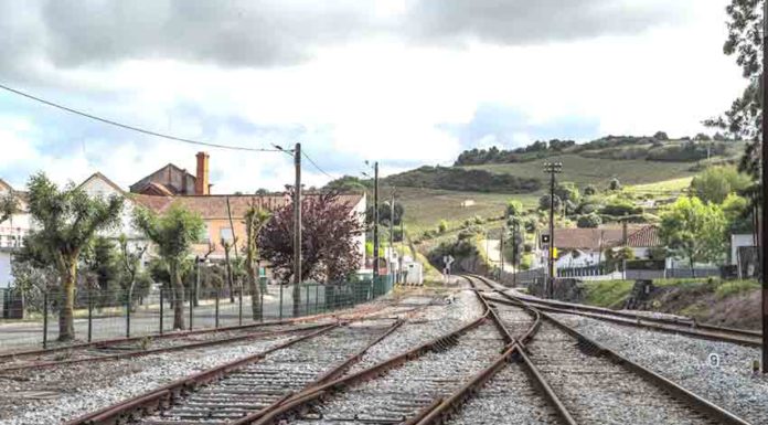 CP pode fazer o que quiser na linha do Oeste que o organismo regulador diz que não a pode sancionar
