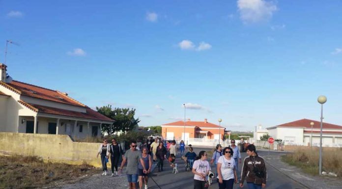 Um ano de caminhadas com um Amigo Especial