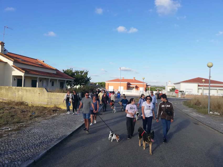 Um ano de caminhadas com um Amigo Especial