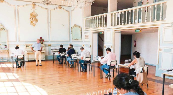 Região de Vinhos de Lisboa afirma-se em quantidade e qualidade