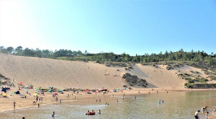 PSD quer classificação da duna de Salir e da área envolvente