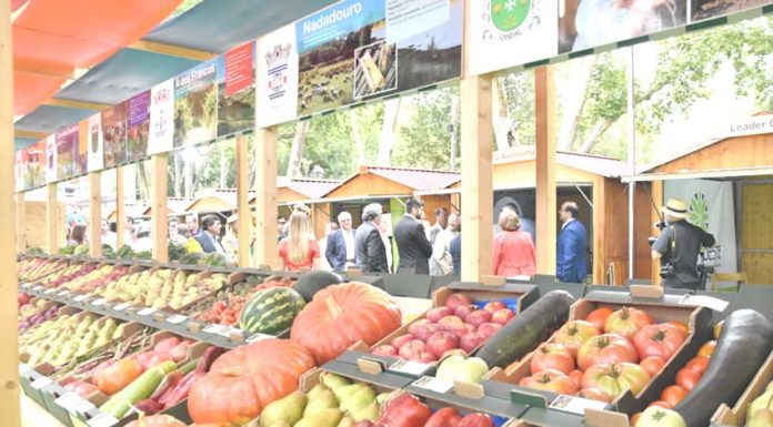 Frutos: feira é gratuita, mas concertos pagam-se