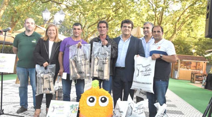 Desperdício do Parque e Mata reaproveitado como lenha e substrato