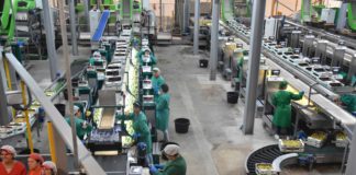 COOPVAL investe seis milhões de euros na modernização da central fruteira