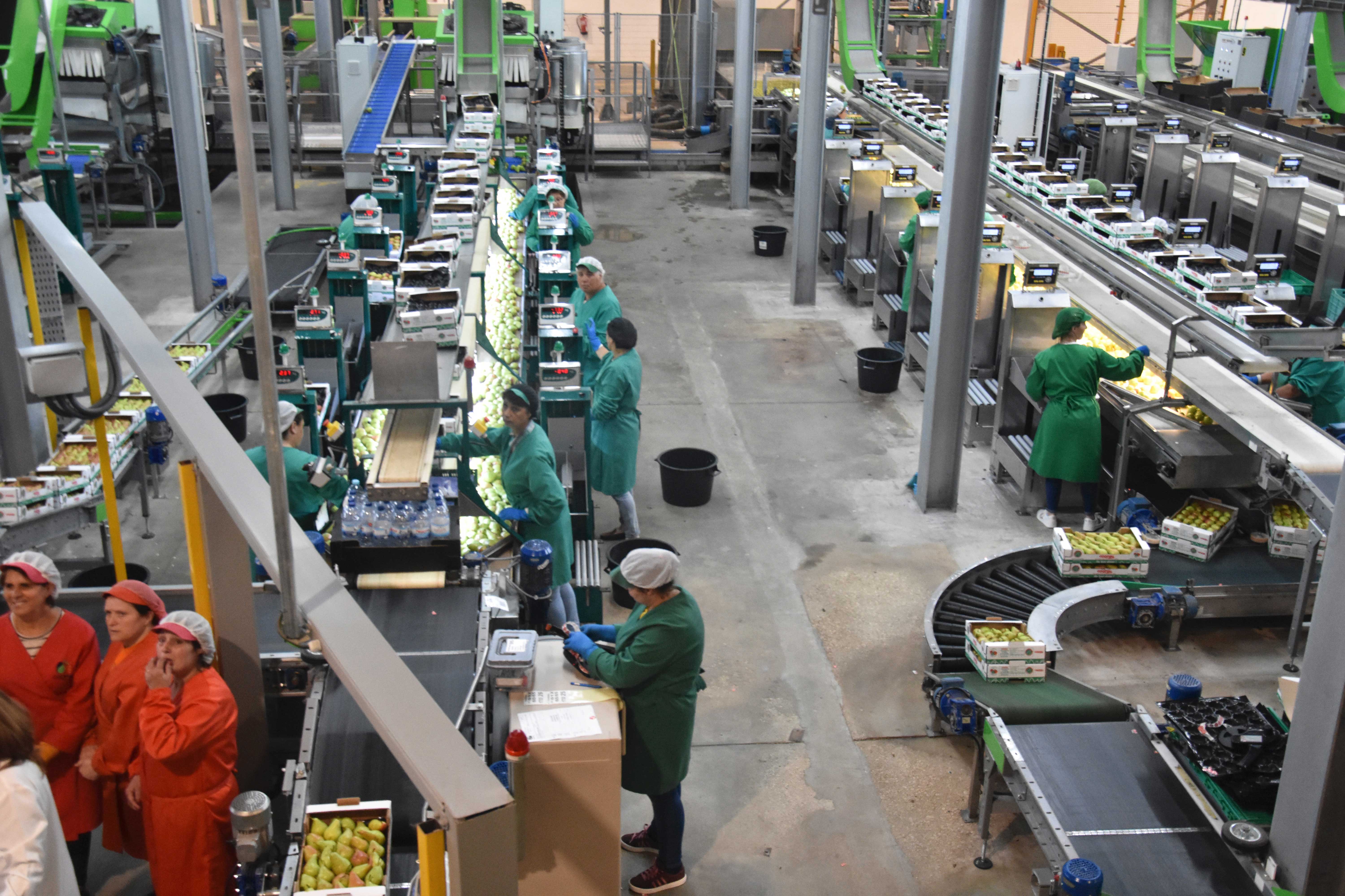 COOPVAL investe seis milhões de euros na modernização da central fruteira