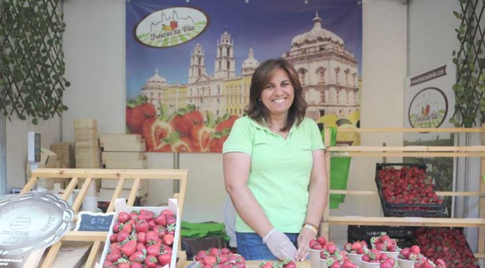 Expositores satisfeitos com as vendas