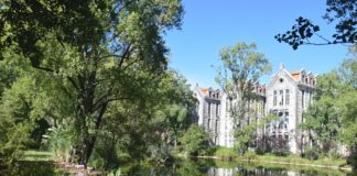 Ratos no Parque assustaram, mas problema “está controlado”