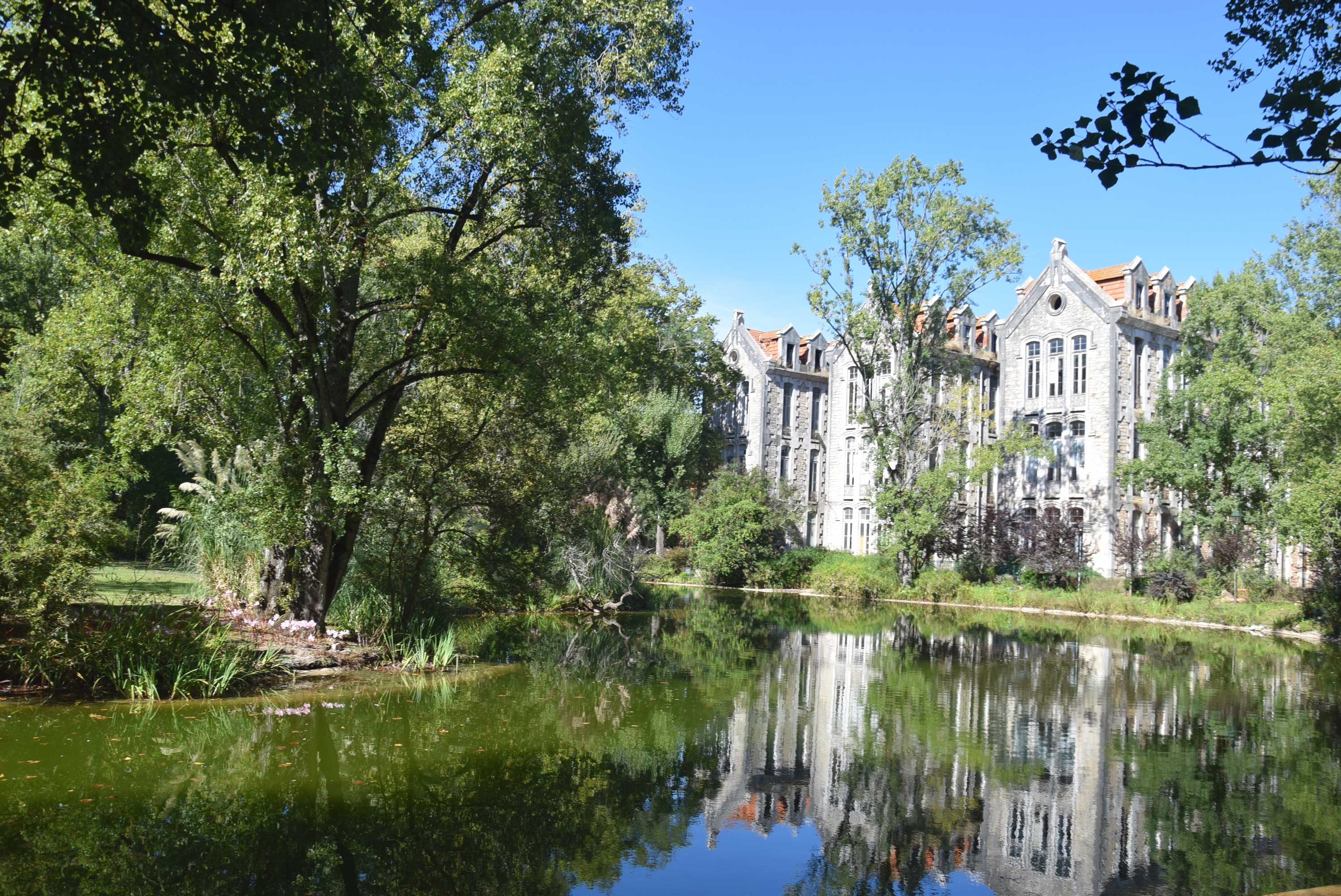 Ratos no Parque assustaram, mas problema “está controlado”