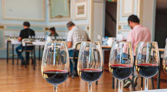 Tasquinhas nas Caldas e Festival do Vinho no Bombarral atraíram milhares de pessoas