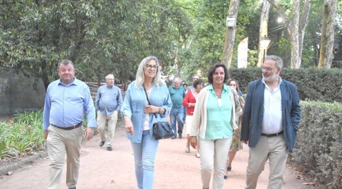 CDS quer eleger dois deputados em Leiria