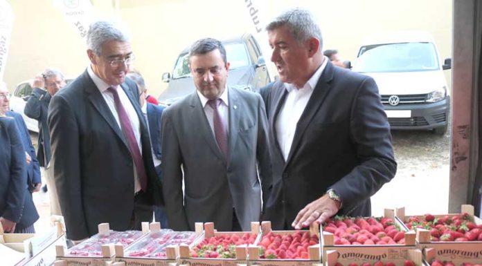 Crédito Agrícola celebra protocolo com associação de consumidores