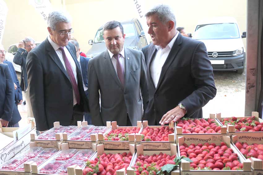 Crédito Agrícola celebra protocolo com associação de consumidores