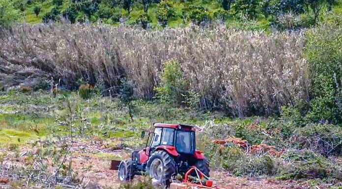 Homem morre em acidente com tractor no Landal