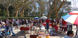 Feira das Velharias no Parque de Merendas a partir de Setembro
