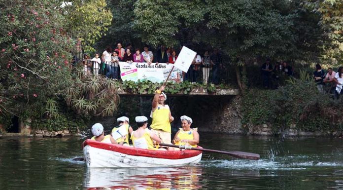 Inscrições para a regata no Parque D. Carlos I ainda estão abertas