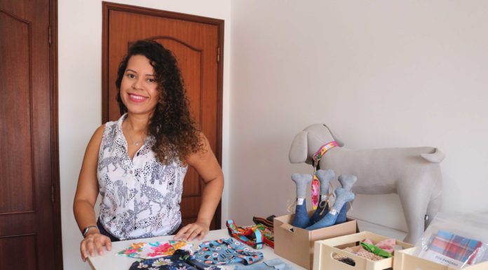 Oh Pets! uma marca caldense de acessórios para cães e gatos