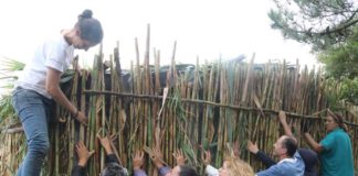 Voluntários recuperam uma cabana de pescador na Lagoa de Óbidos