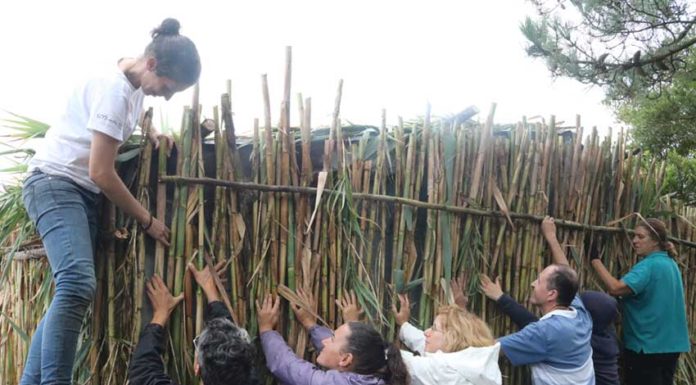 Voluntários recuperam uma cabana de pescador na Lagoa de Óbidos