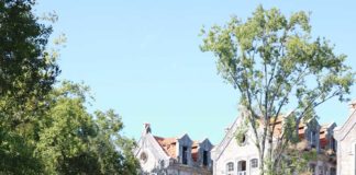 Grande regata regressa sábado ao Parque