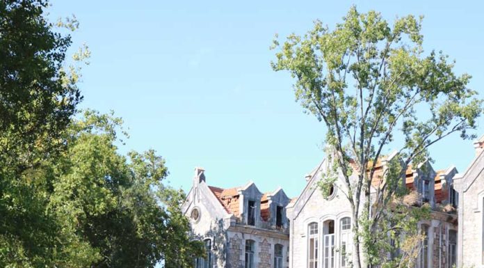 Grande regata regressa sábado ao Parque