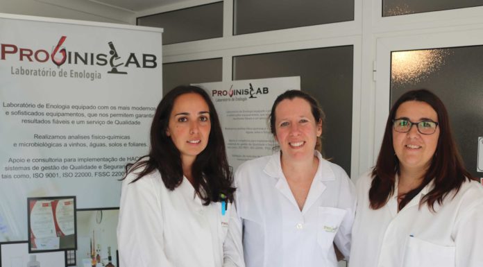 No Painho há um laboratório de enologia onde se aperfeiçoa a qualidade do vinho