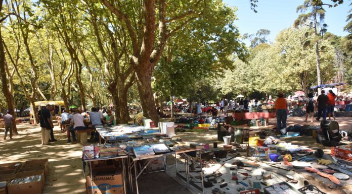 Feira das velharias no Parque de Merendas