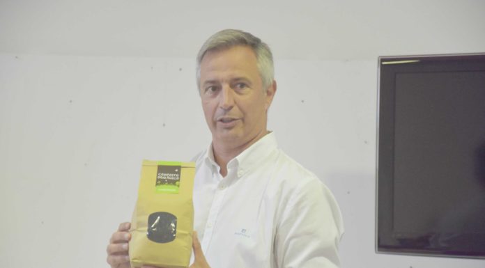 Fruta desconforme pode dar origem a novos produtos e transformar-se em energia