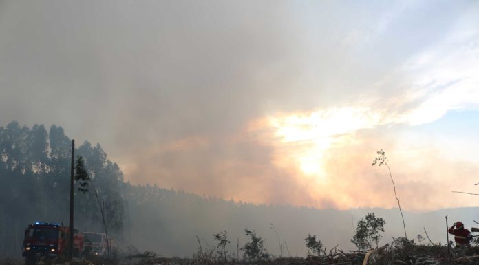 Incêndio em Maiorga combatido por quase 200 bombeiros