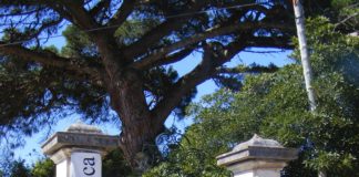 Câmara das Caldas aceita a gestão do Museu da Cerâmica a partir de 2020