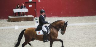 CEIA recebeu mais um Concurso Dressage Nacional