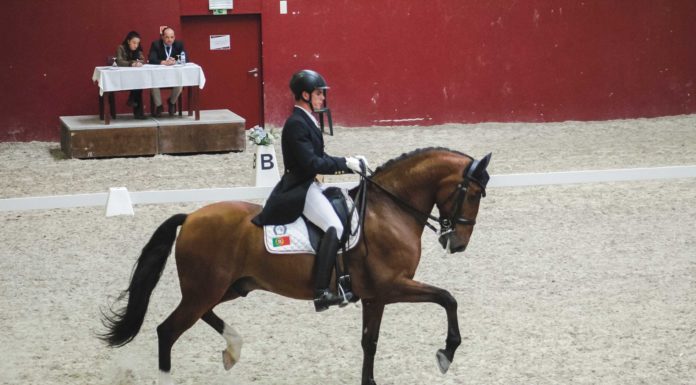 CEIA recebeu mais um Concurso Dressage Nacional