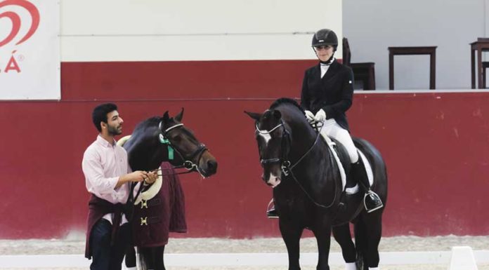 Final da Taça de Portugal de Dressage 2019 realizou-se no CEIA