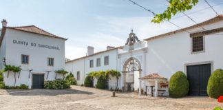 Quinze medalhas de ouro em quatro semanas para vinhos do Bombarral