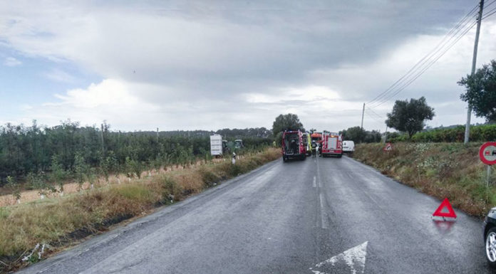 Médico morre após capotamento na A17