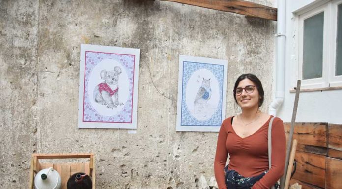 Sr. Jacinto acolheu fábulas ilustradas de Ana Xavier