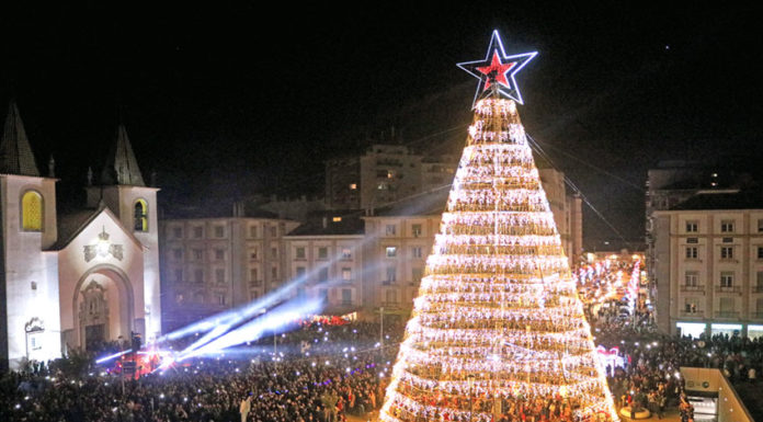 Inauguração da árvore de Natal atraiu milhares de pessoas