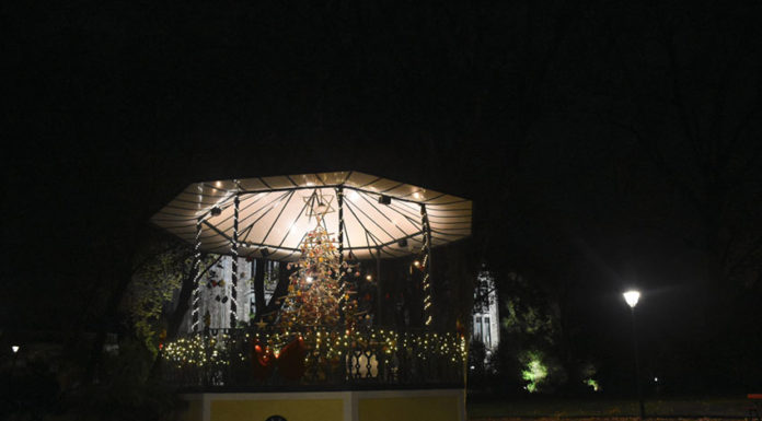 Árvore de natal decora o coreto do Parque D. Carlos I